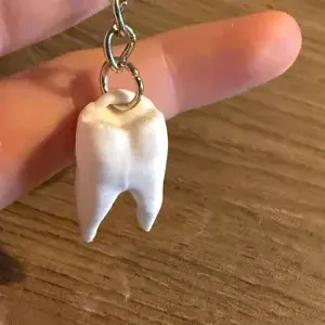 First lower molar keychain